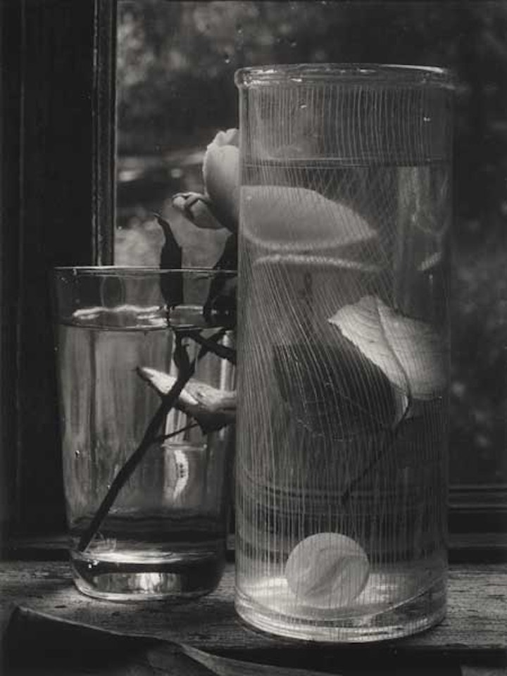 Still life with floating rose petal by Josef Sudek