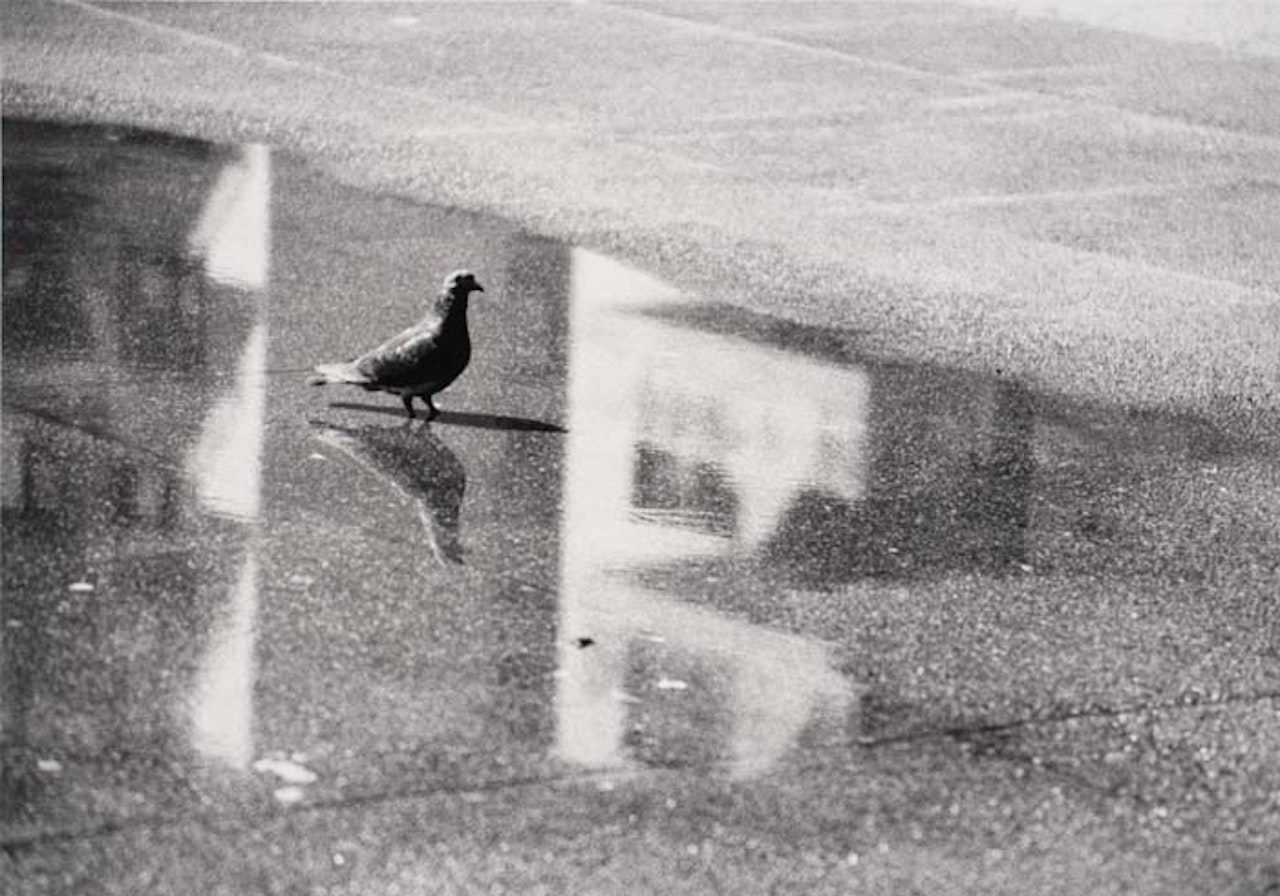 8th Street, N.Y. by André Kertész