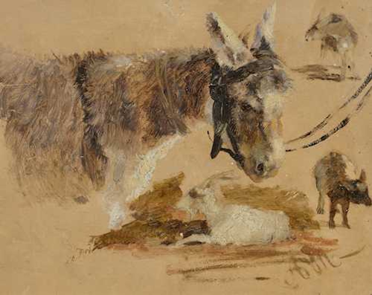 Study of donkey and goats. by Adolph Menzel