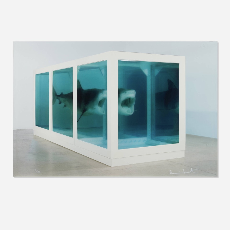 The Physical Impossibility of Death in the Mind of Someone Living by Damien Hirst