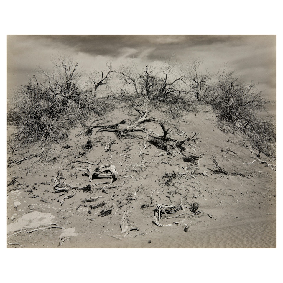 Dunes, Death Valley by Edward Weston