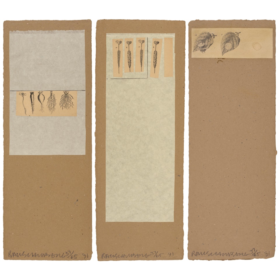 Three plates, from Shirtboards Morocco, Italy "52 Portfolio (3 works) by Robert Rauschenberg