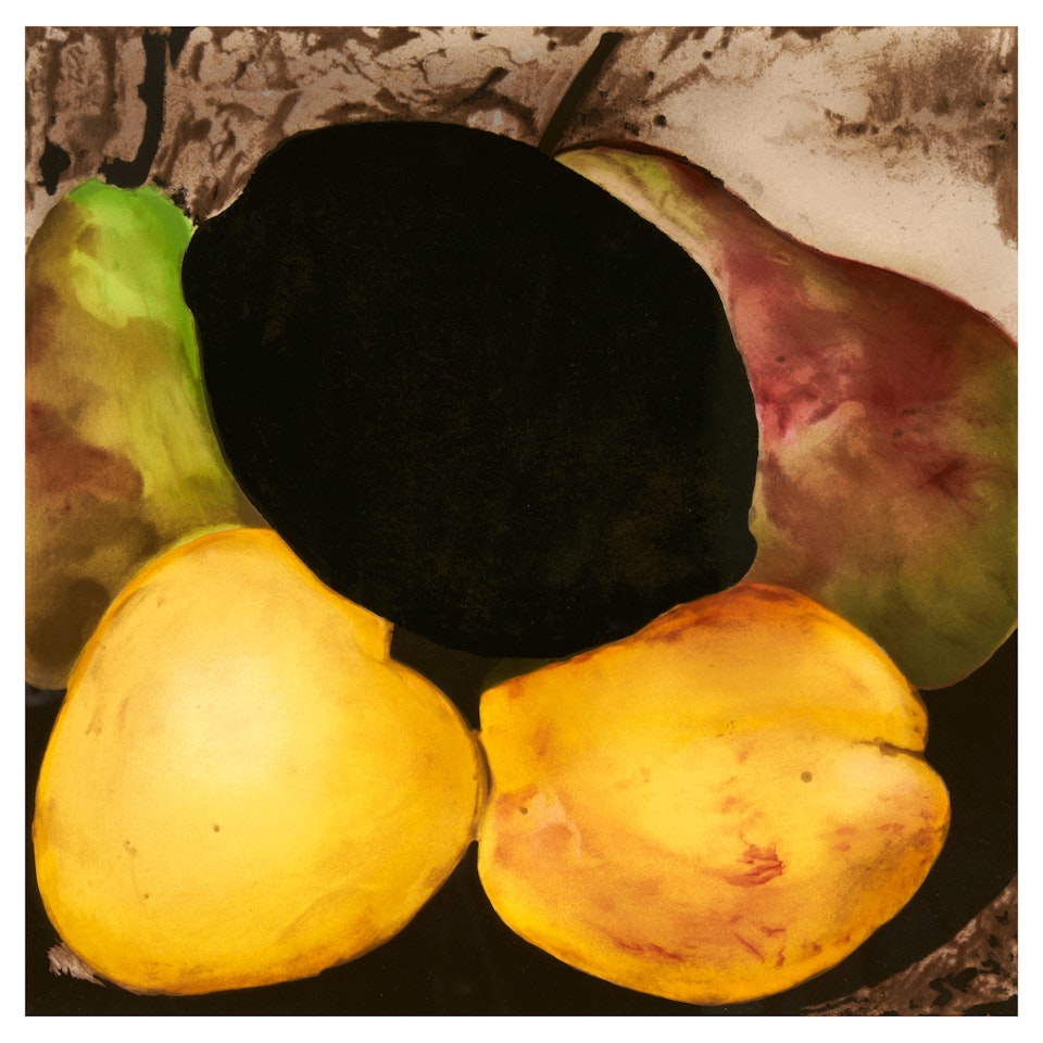 Lemon, Apricots and Pears, from Fruits and Flowers II by Donald Sultan