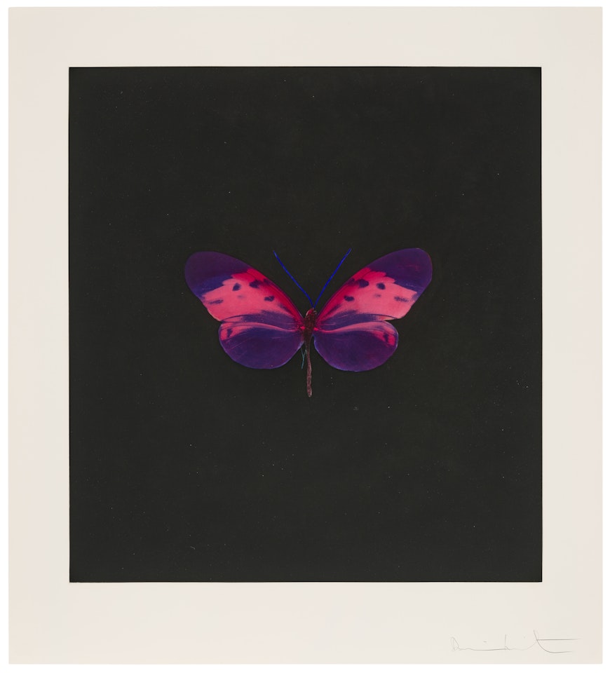 Plate 4, from: Memento by Damien Hirst