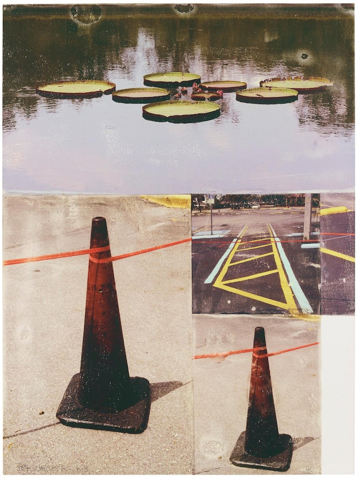 "Lotus Bed I" from "The Lotus Series" by Robert Rauschenberg