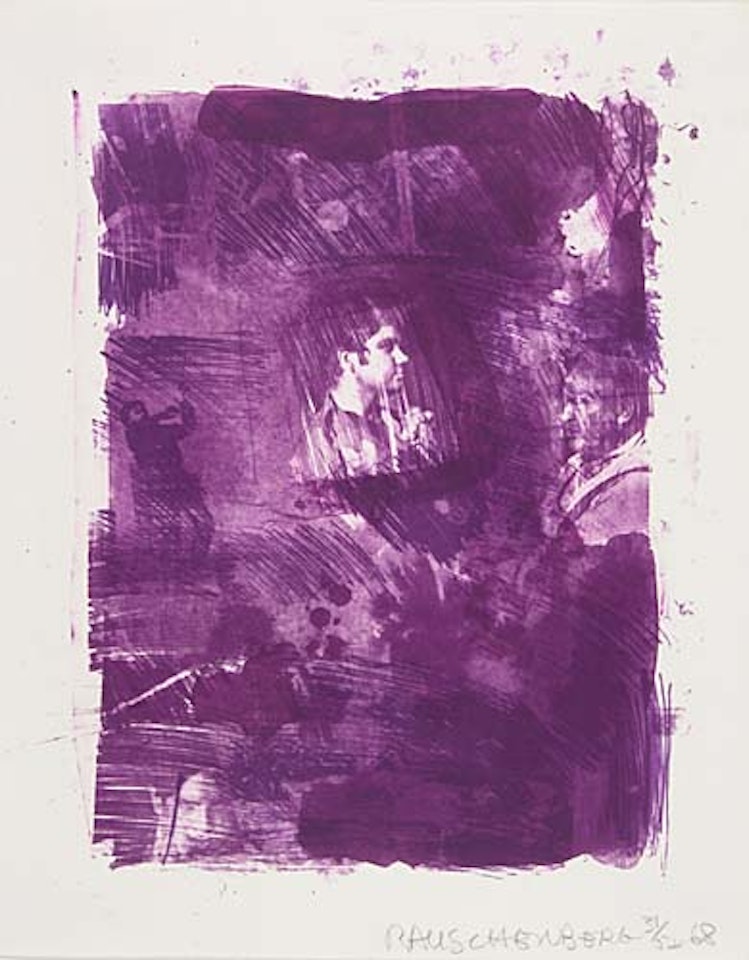 Flower Re-Run by Robert Rauschenberg