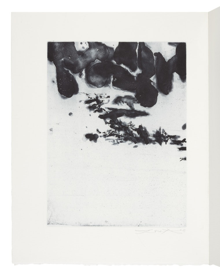 Genèse . Losne : Thierry Bouchard by Zao Wou-Ki