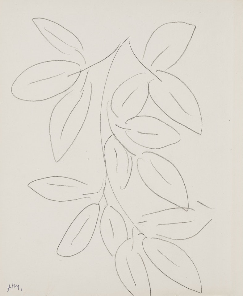 Feuilles by Henri Matisse
