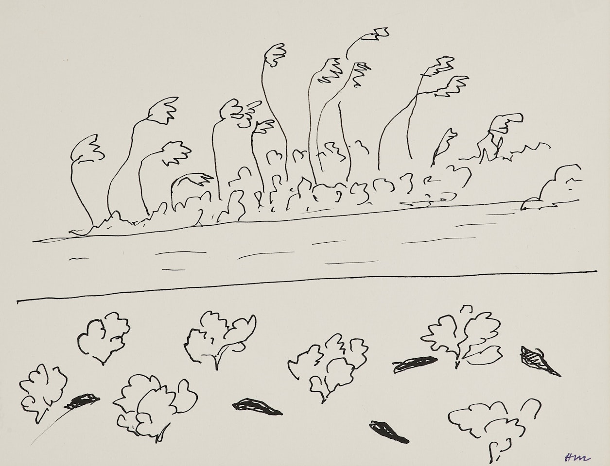 La passe d"Apataki by Henri Matisse