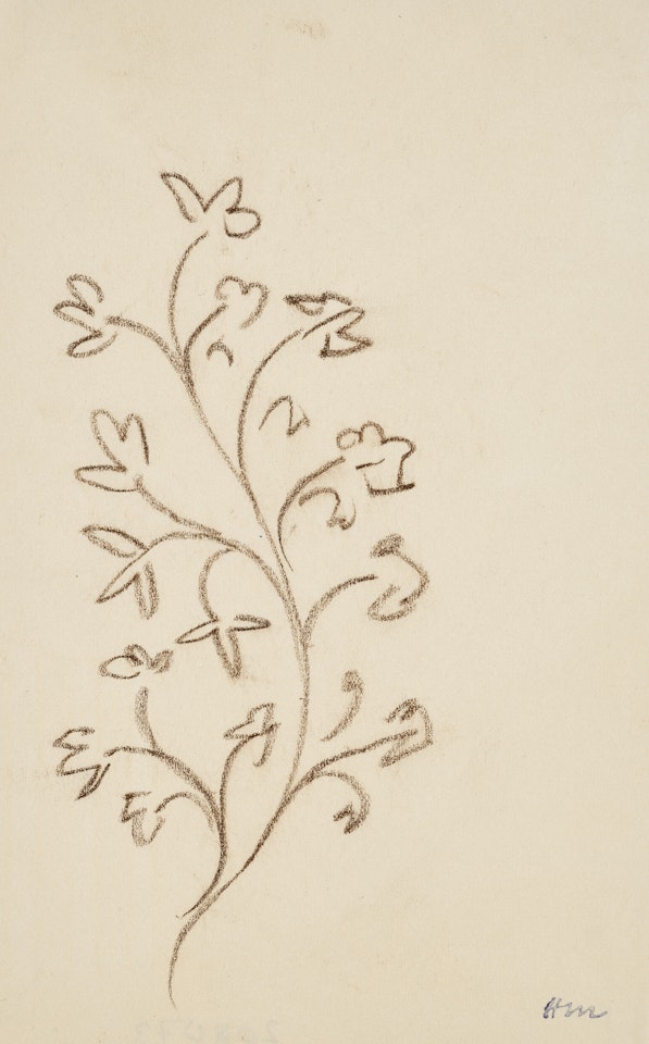Etude de branche by Henri Matisse