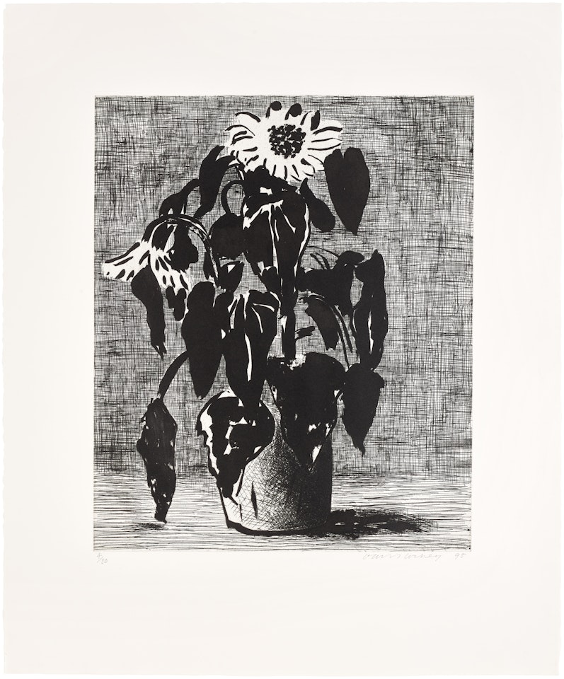 Sunflower II (M.C.A.T. 348) by David Hockney