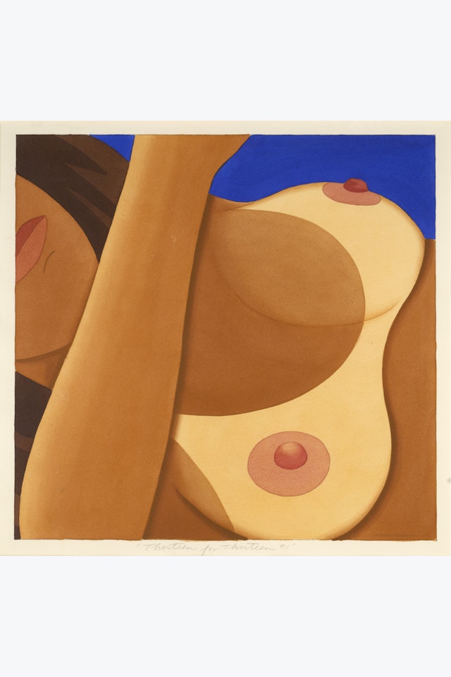 Nude for Channel 13 (#1) by Tom Wesselmann