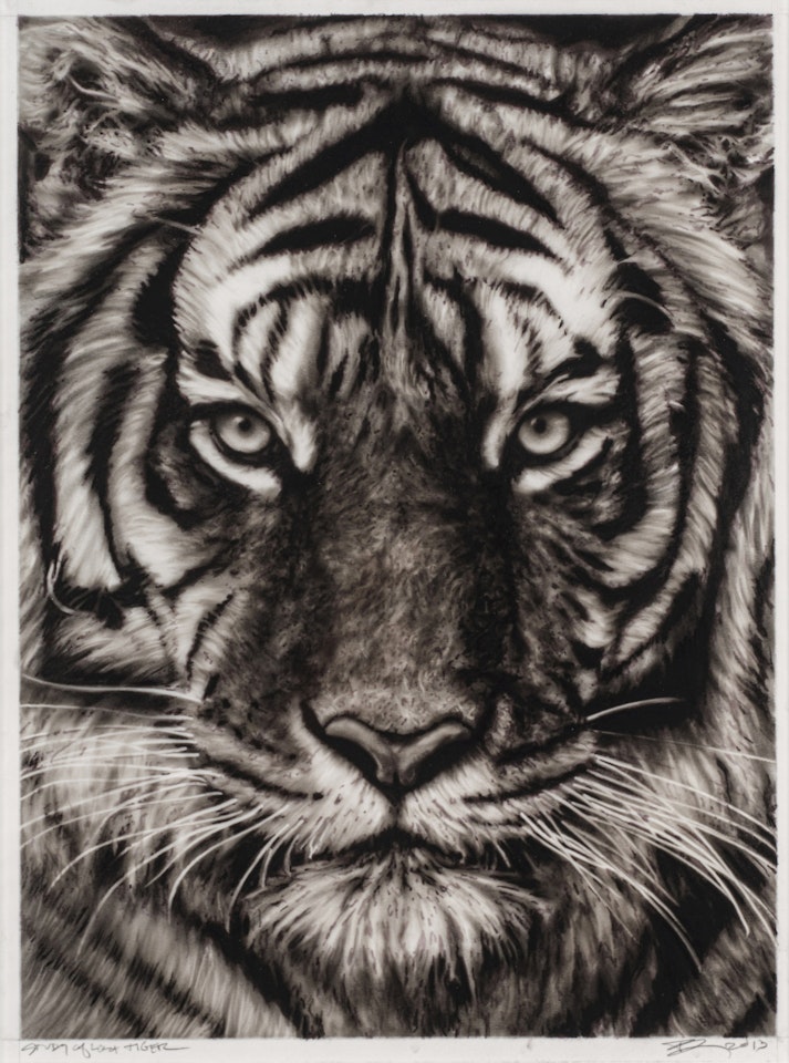 Study of Last Tiger by Robert Longo