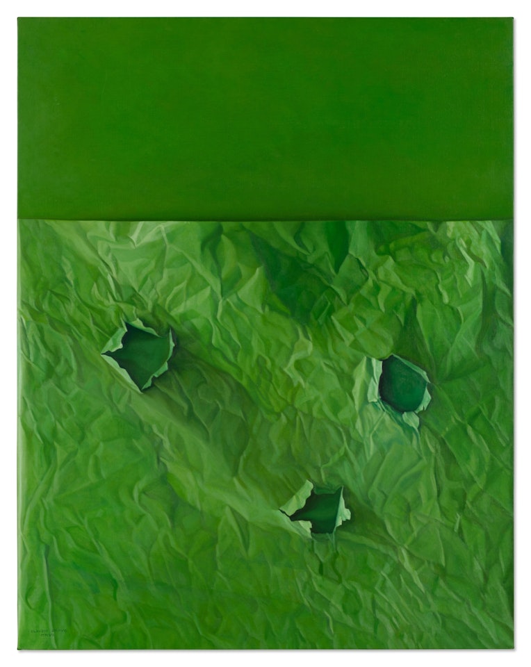 Green Paper on Green Background by Claudio Bravo