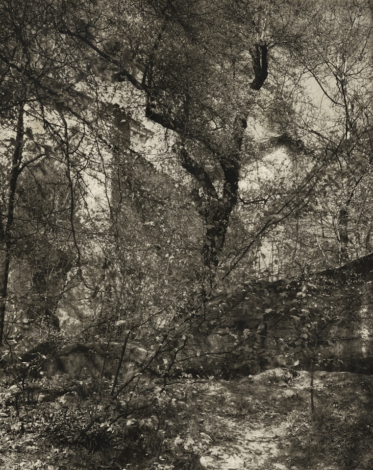A Walk through Kinský Garden, Prague by Josef Sudek