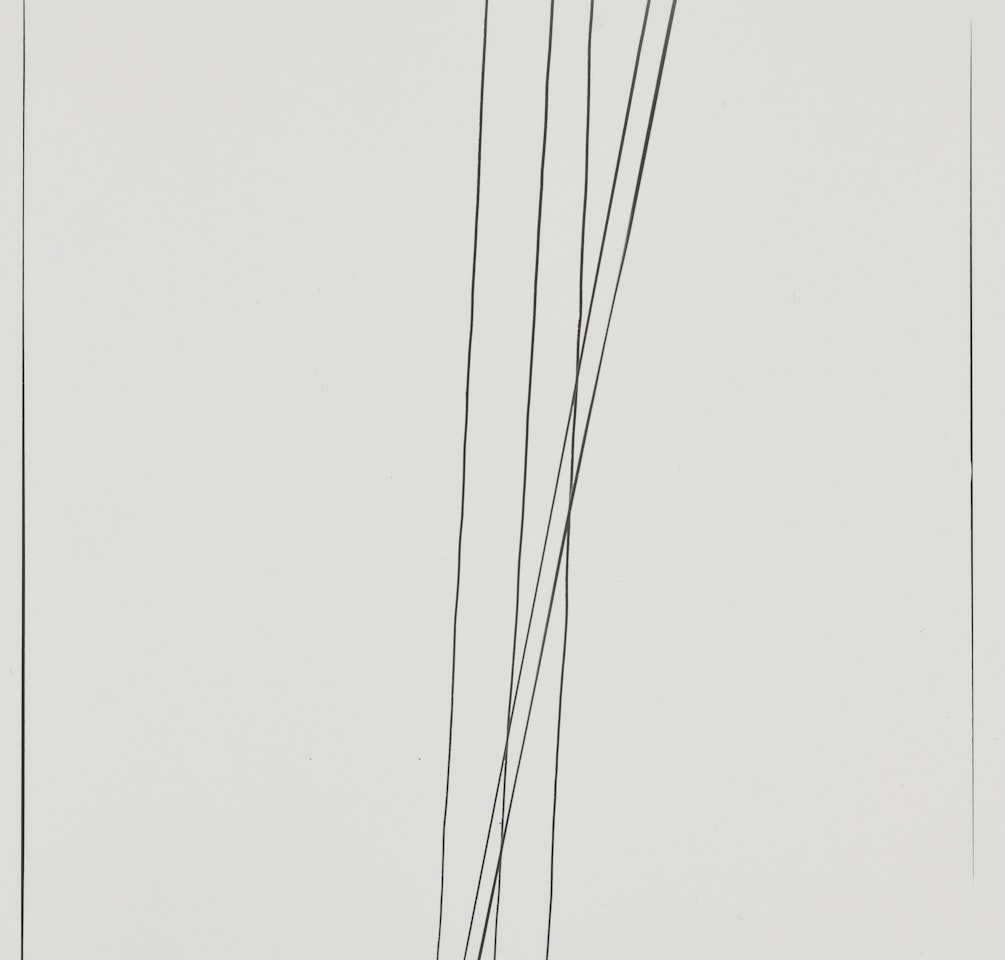 Telephone Wires by Harry Callahan