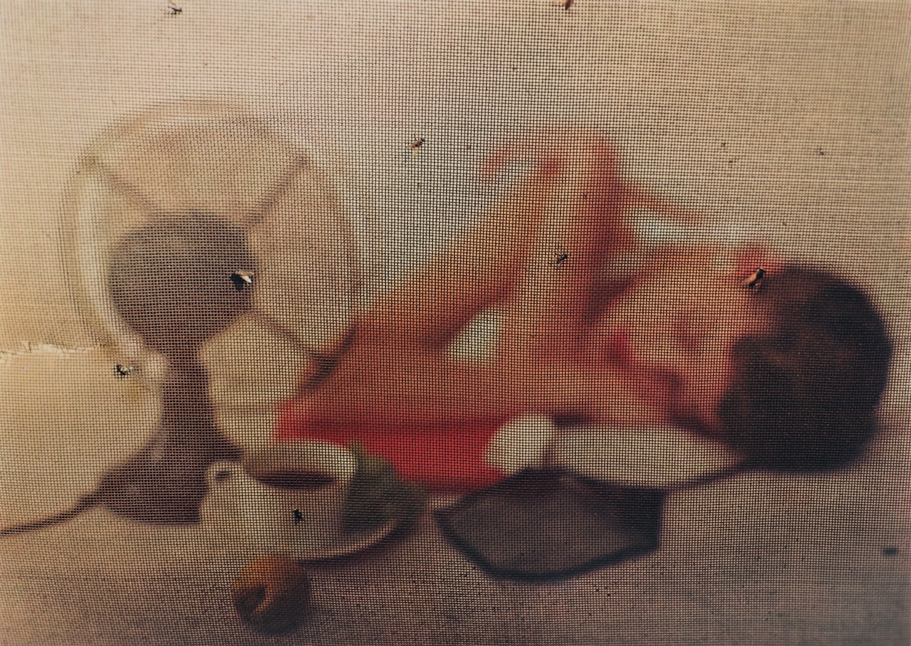 Summer Sleep, New York by Irving Penn