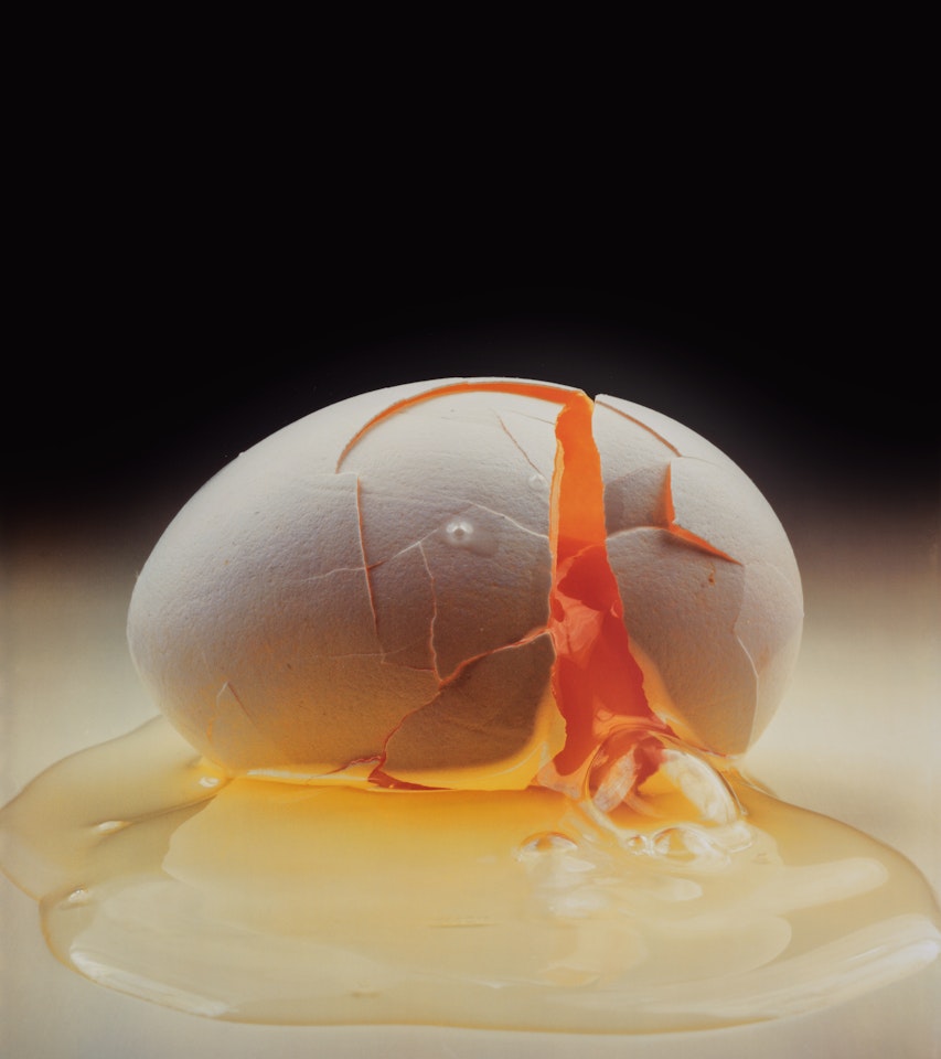 Cracked Egg, New York by Irving Penn