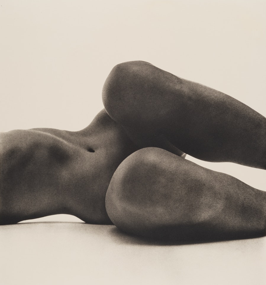 Nude No. 58, New York by Irving Penn