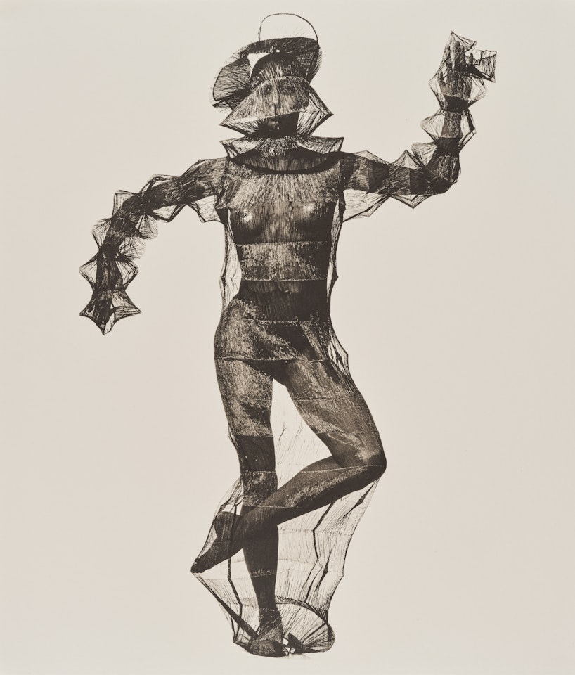 Young Woman in a Net (Miyake Design), New York by Irving Penn