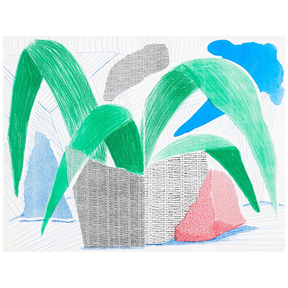 Green Grey & Blue Plant, July (MCAT 317) by David Hockney