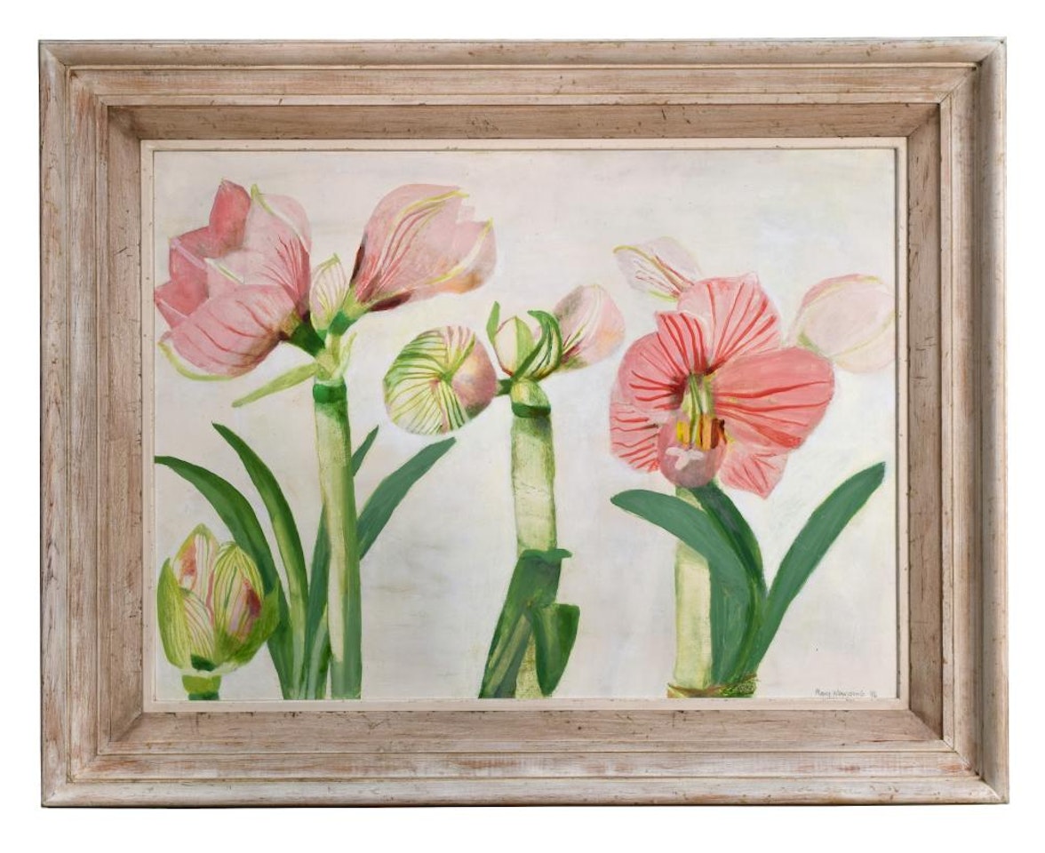 Studies of an Amaryllis Flowering by Mary Newcomb