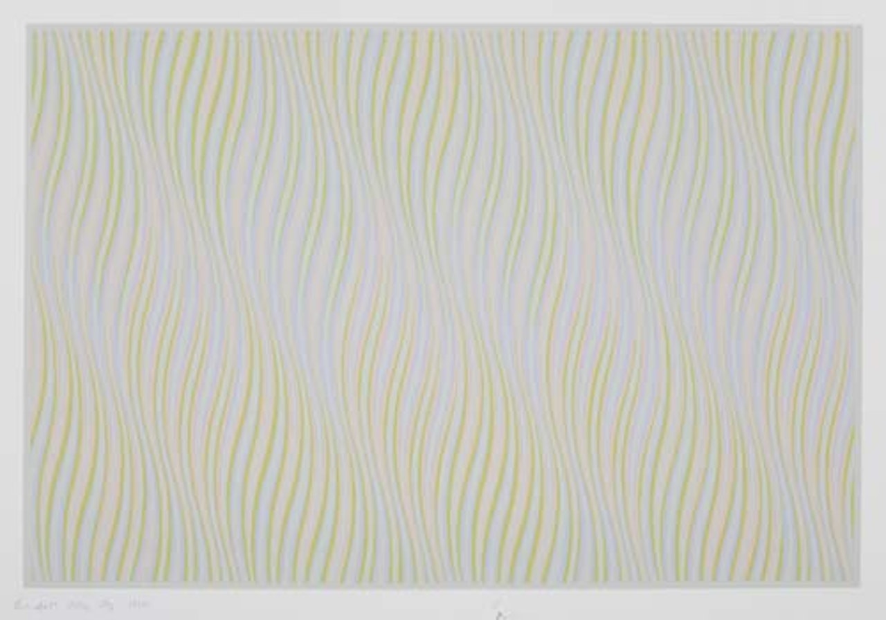 Rose by Bridget Riley