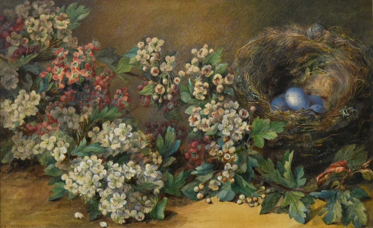 Still life of blossom and a bird"s nest on a bank by English School