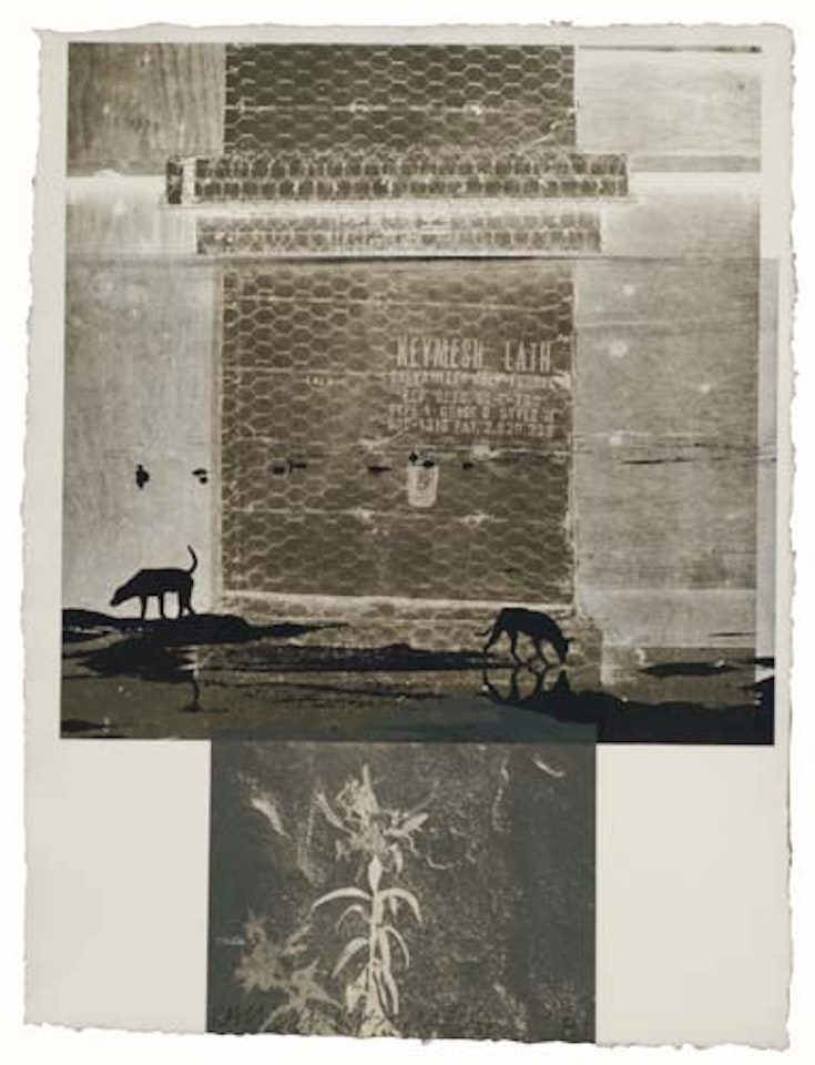Lily Scent by Robert Rauschenberg
