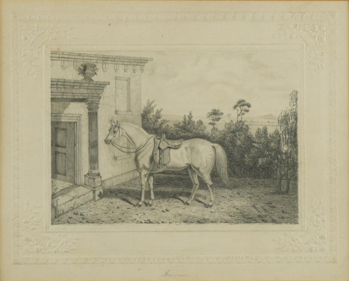 Study of one of HM Queen Victoria"s hacks, "Arnica" by English School