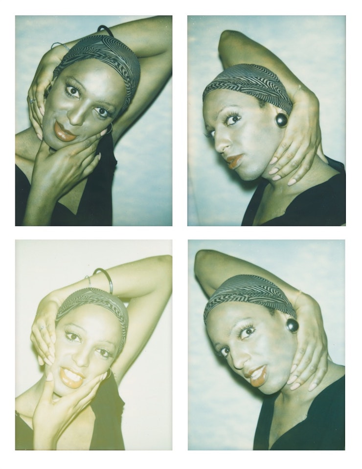 ”Ladies and Gentlemen (Wilhelmina Ross)” by Andy Warhol