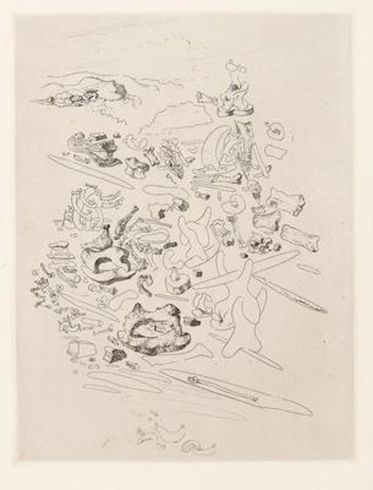 Aus: "Chants de Maldoror" by Salvador Dali
