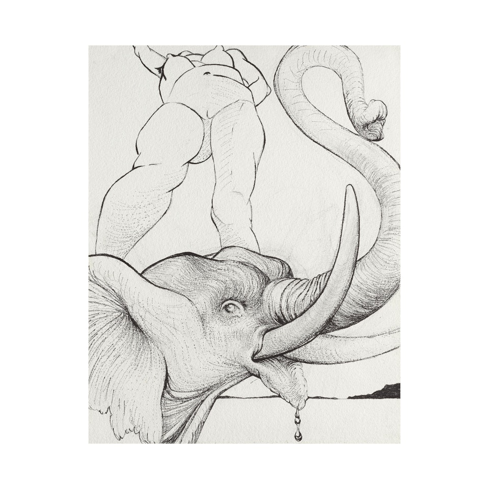 Maintenant c"est le soir (Amazone) by Salvador Dali