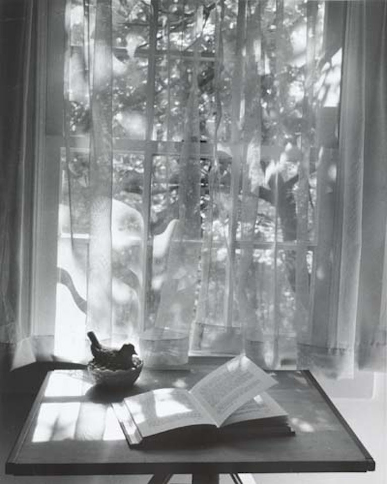 Book by window by André Kertész