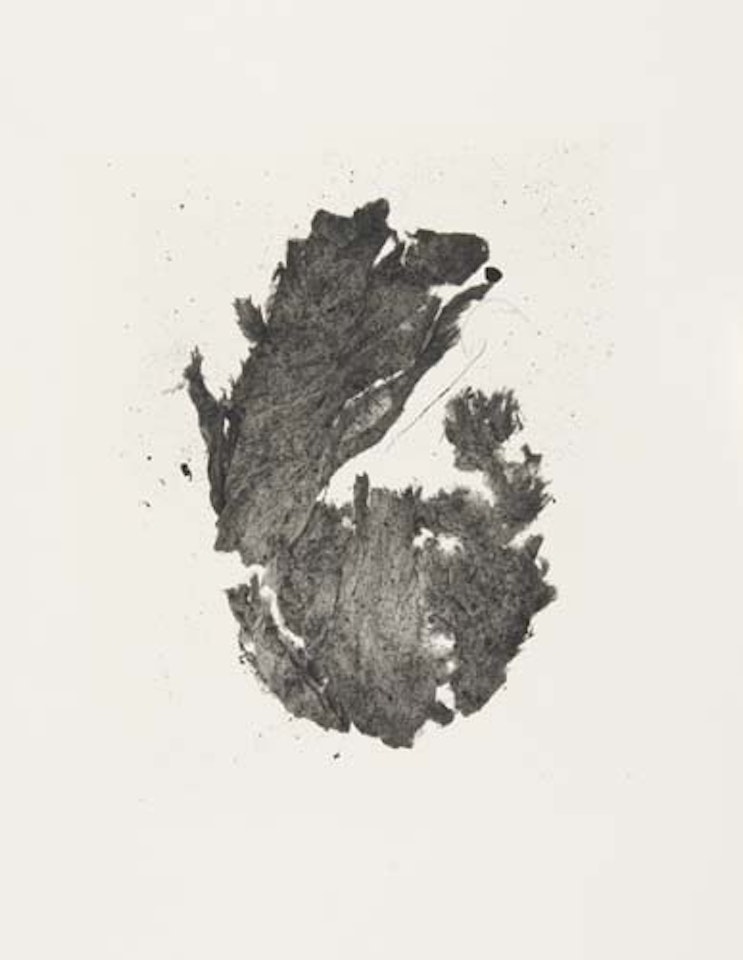 Archipelago  by Irving Penn
