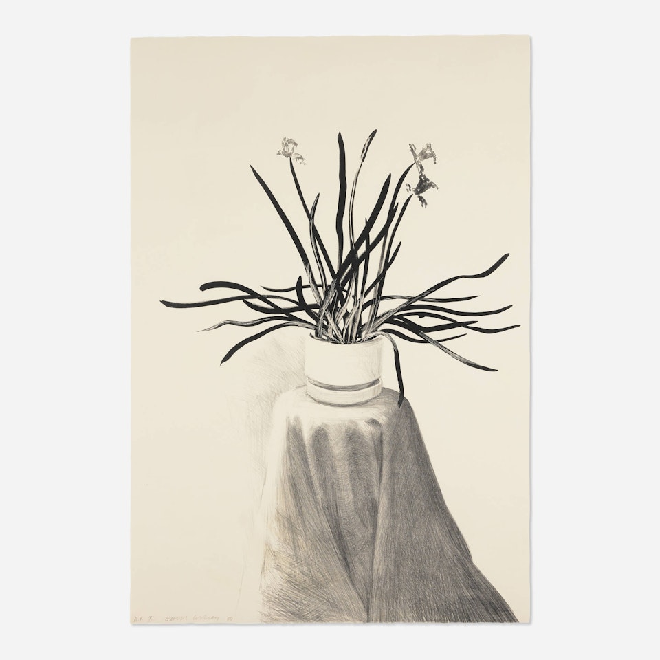 Potted Daffodils by David Hockney