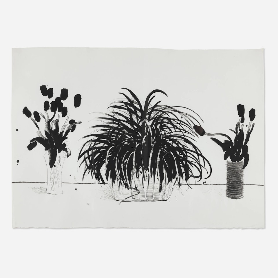 Two Vases of Cut Flowers and a Liriope Plant by David Hockney