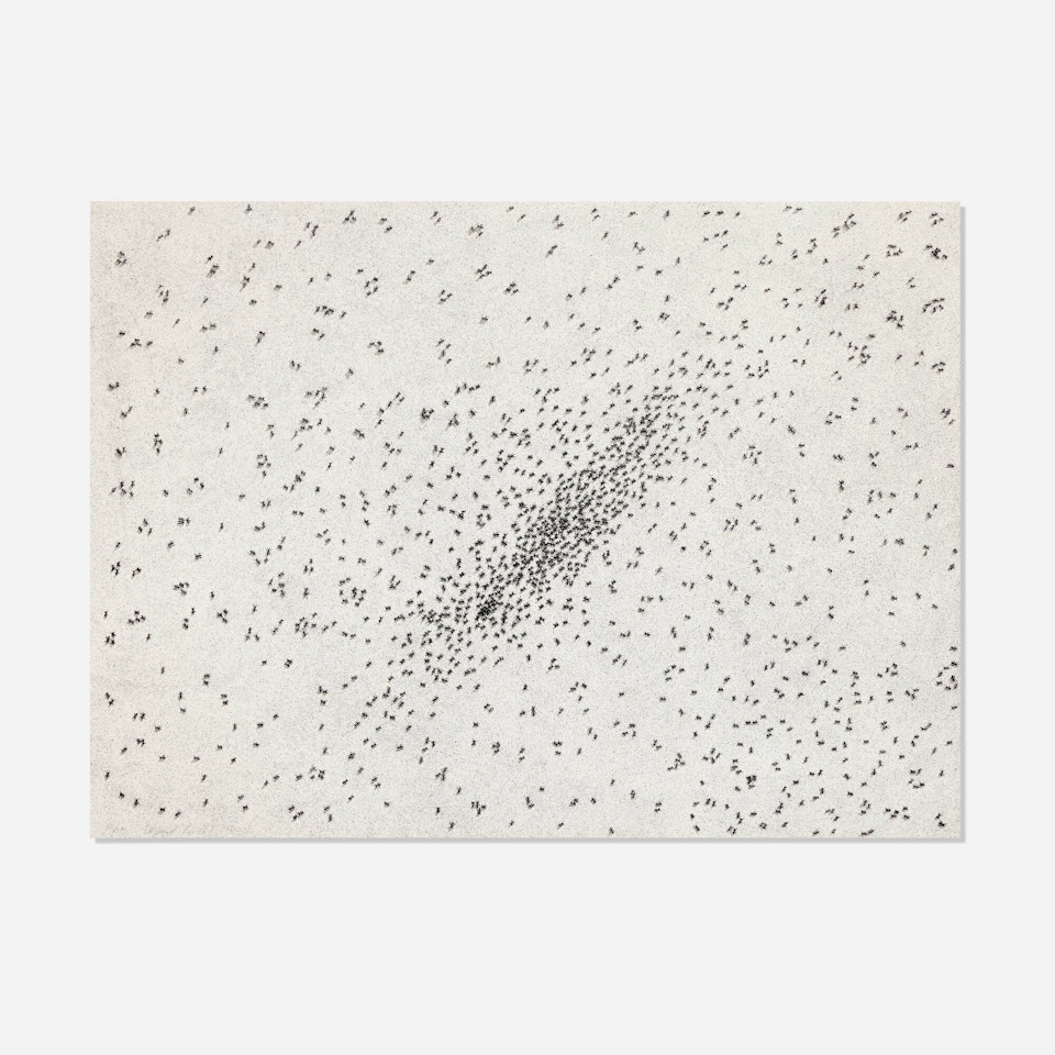 Insect Slant (from the Reality & Paradoxes portfolio) by Ed Ruscha