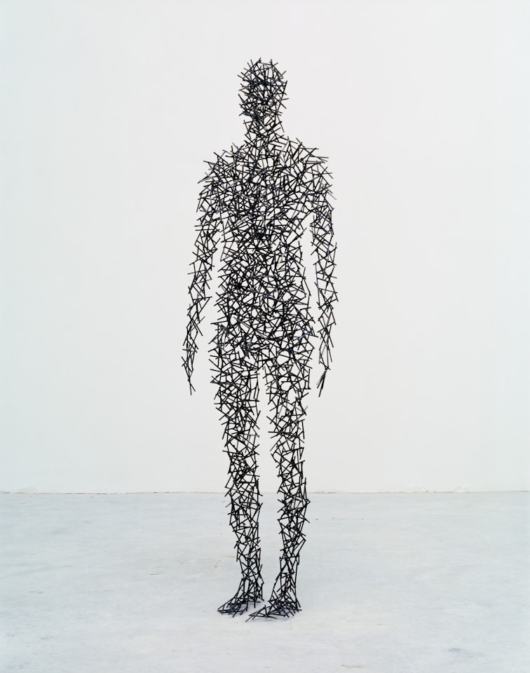 Domain I by Antony Gormley