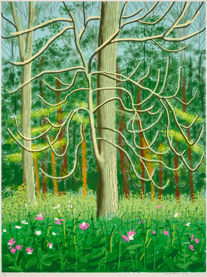 The Arrival of Spring in Woldgate, East Yorkshire in 2011 (twenty eleven) - 4 May by David Hockney
