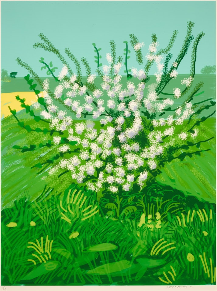 The Arrival of Spring in Woldgate, East Yorkshire in 2011 (twenty eleven) - 30 April by David Hockney