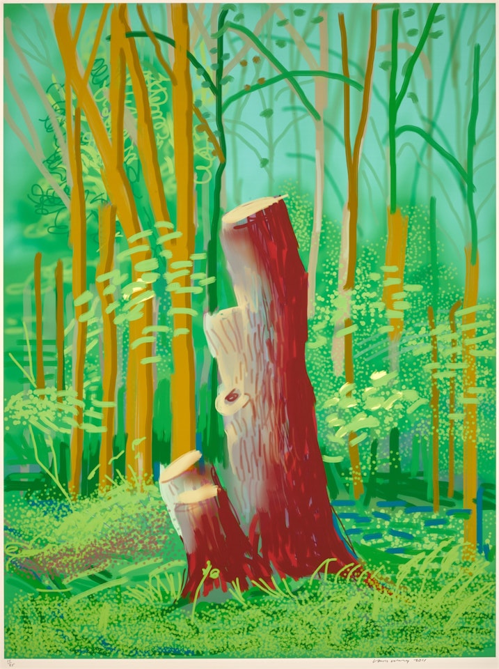 The Arrival of Spring in Woldgate, East Yorkshire in 2011 (twenty eleven) - 24 April by David Hockney