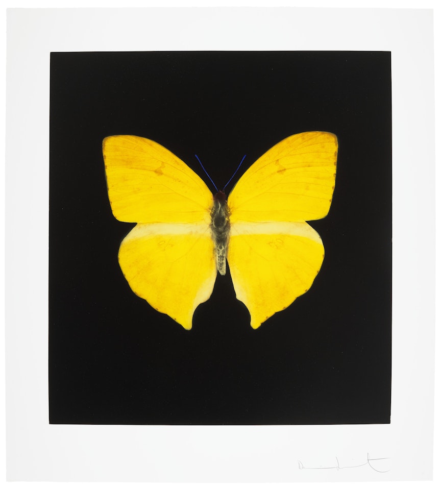 The Souls on Jacob"s Ladder Take Their Flight : one print by Damien Hirst