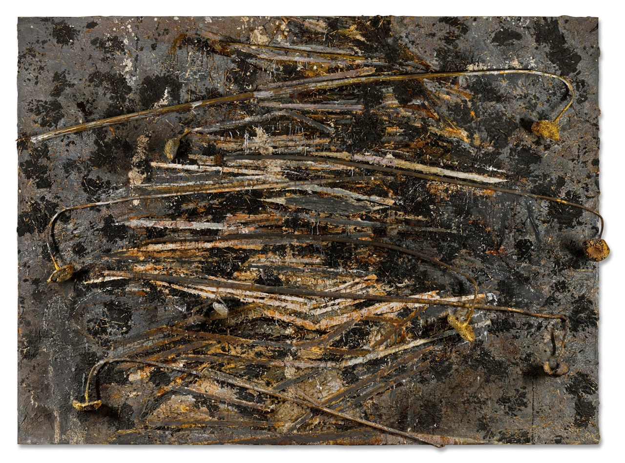Dein und mein Alter und das Alter der Welt by Anselm Kiefer
