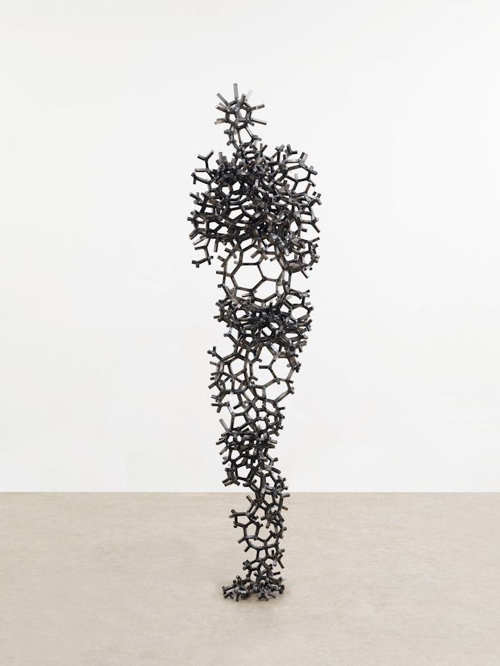 Aperture XI by Antony Gormley