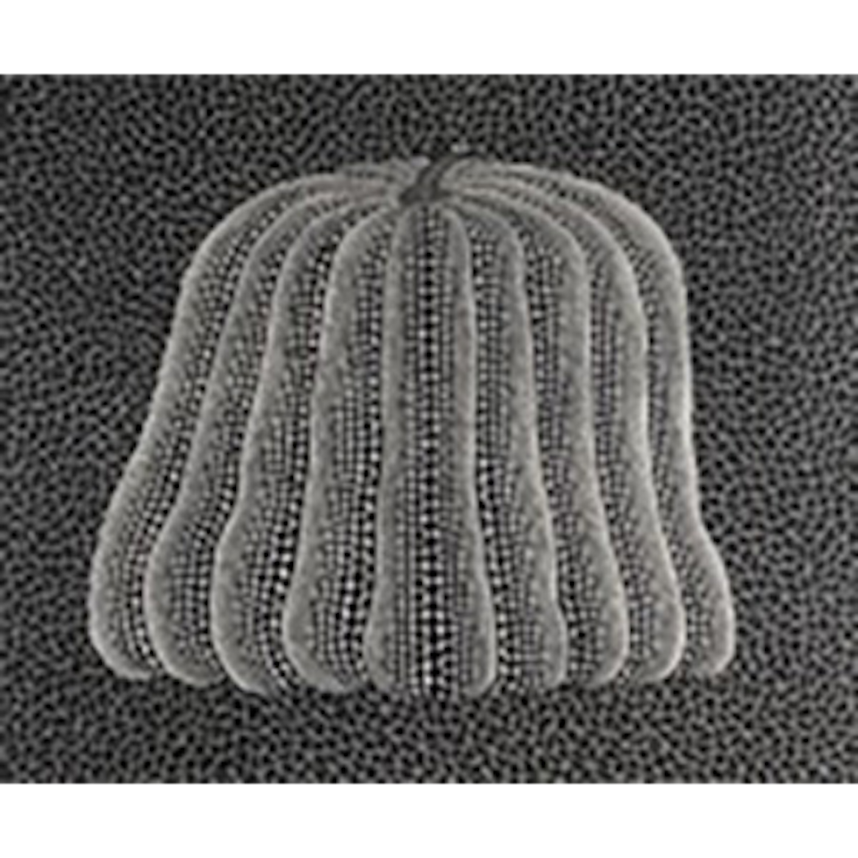 Pumpkin (White Y) (Kusama 150) by Yayoi Kusama