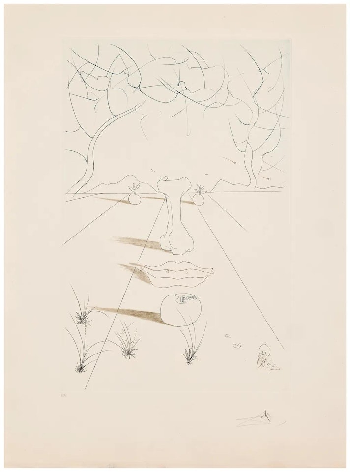 Visage Surréaliste by Salvador Dali