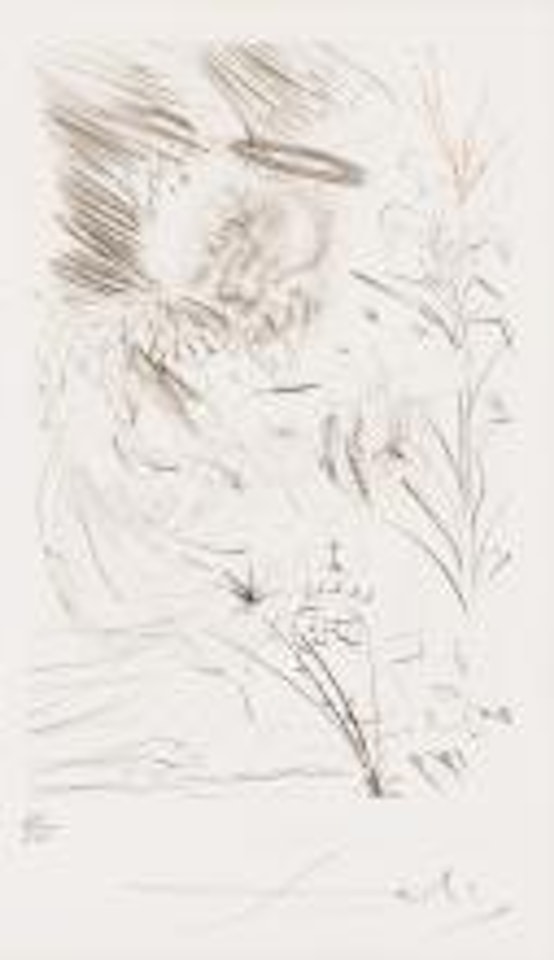 L"Ange. by Salvador Dali