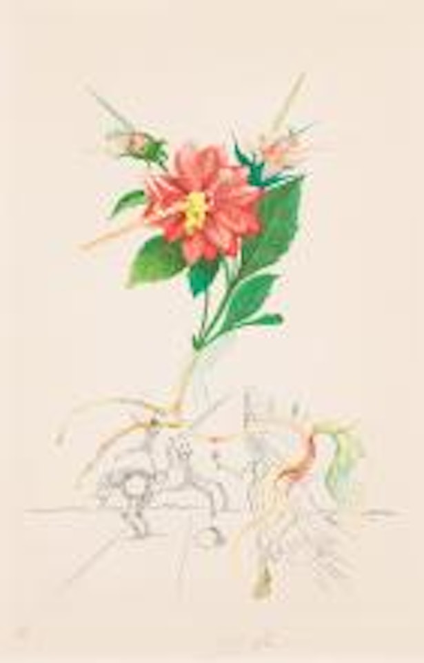 Dahlia Unicornis. by Salvador Dali