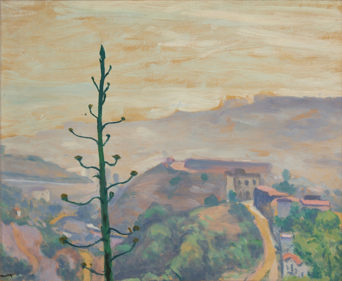 L"Aloès va Fleurir by Albert Marquet